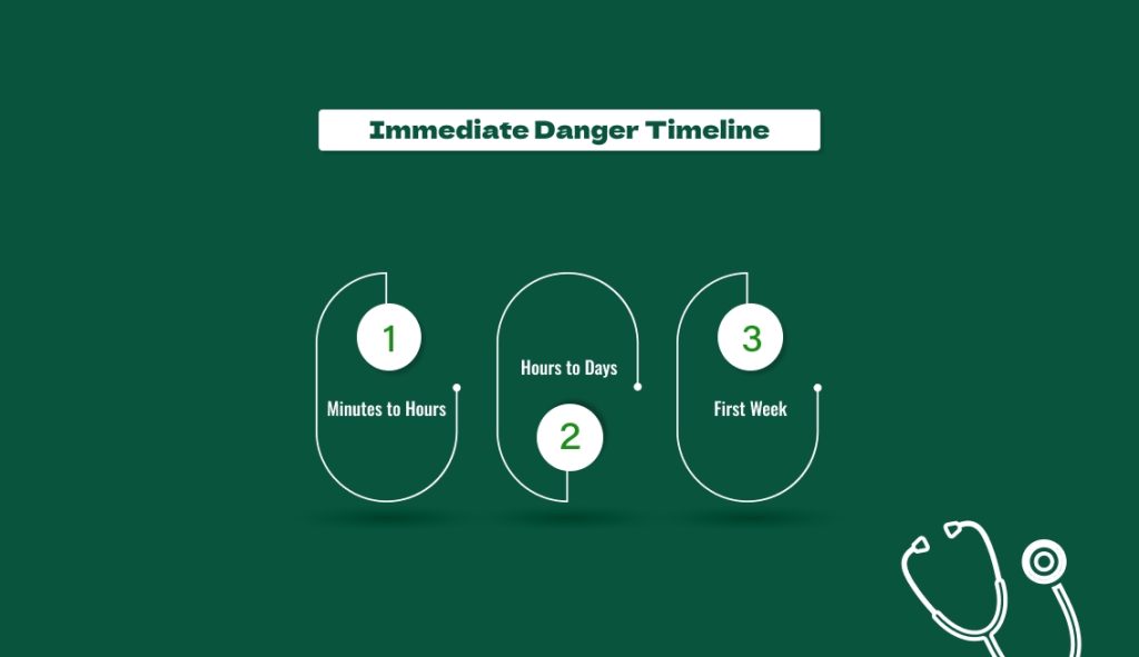 Immediate Danger Timeline