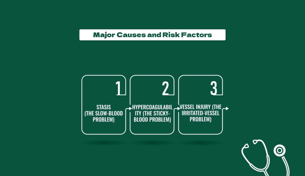 Major Causes and Risk Factors