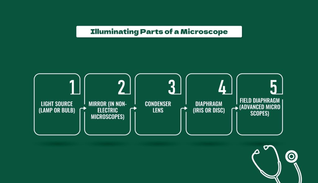 Illuminating Parts of a Microscope