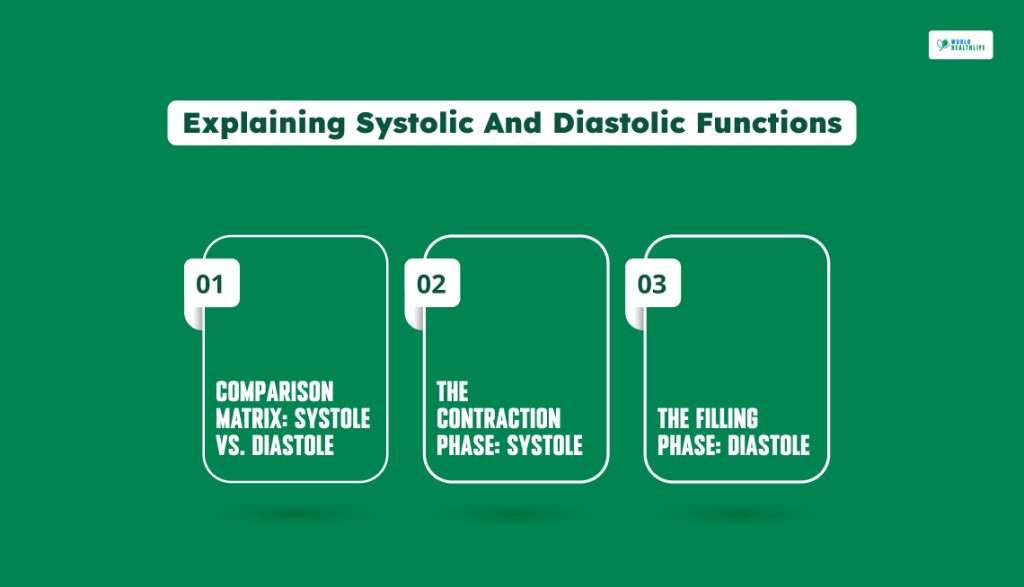 Explaining Systolic And Diastolic Functions