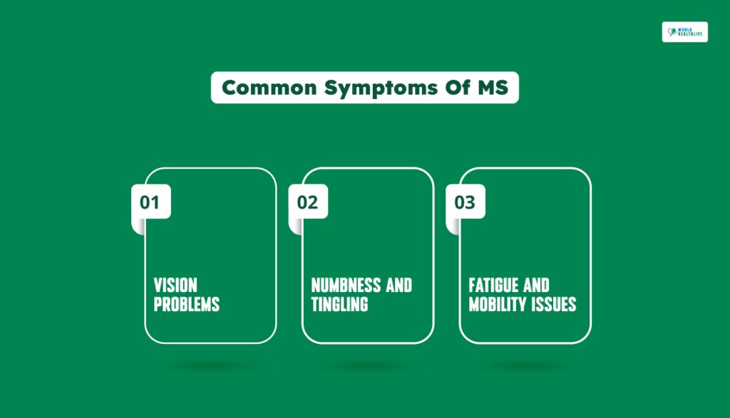Common Symptoms Of MS
