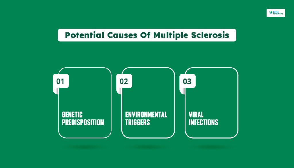 Potential Causes Of Multiple Sclerosis