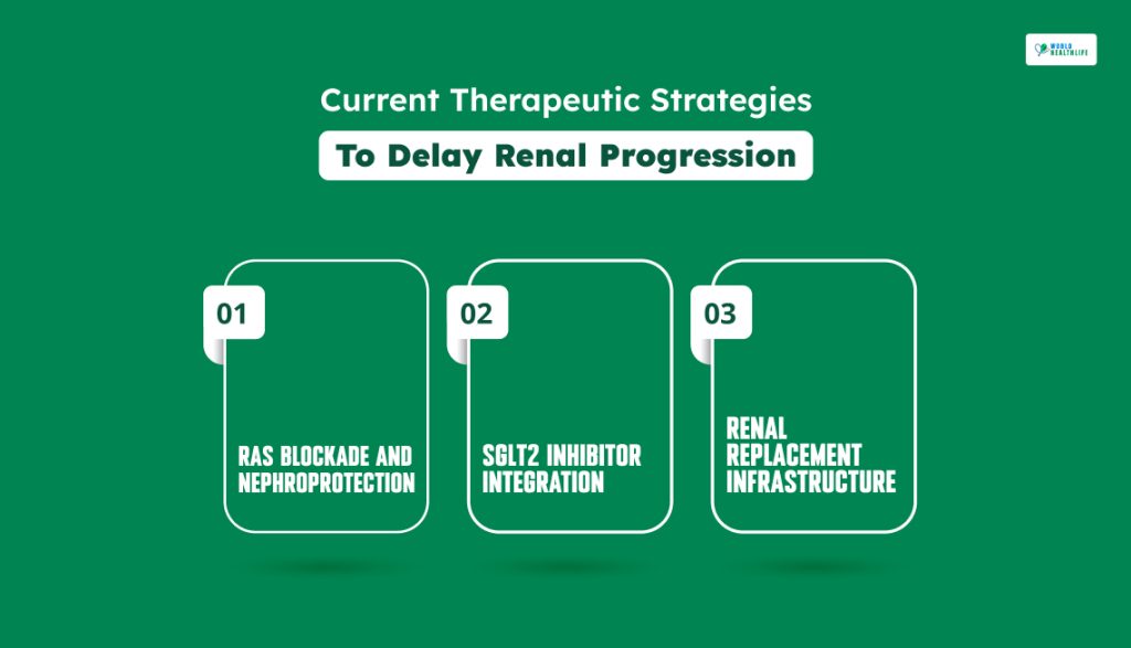 Current Therapeutic Strategies To Delay Renal Progression