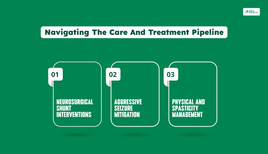 Navigating The Care And Treatment Pipeline Schizencephaly