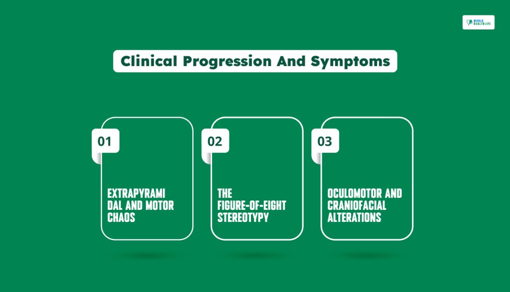 Spotting The Signs_ Clinical Progression And Symptoms