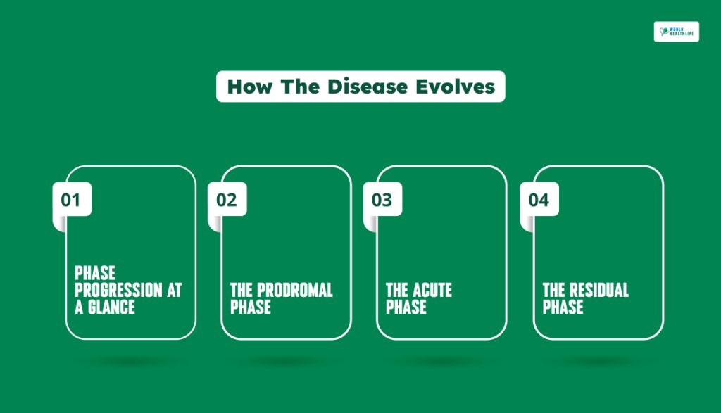 The Path Of Destruction_ How The Disease Evolves