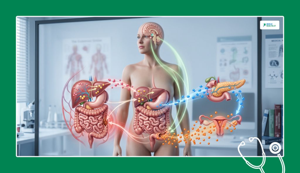 The Therapeutic Framework_ Connecting The Signaling Loops
