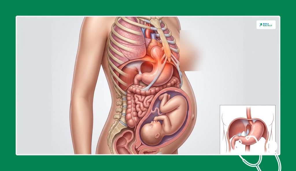 The Unique Female Footprint_ Pregnancy And Hormonal Shifts