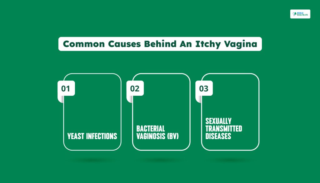 Common Causes Behind An Itchy Vagina