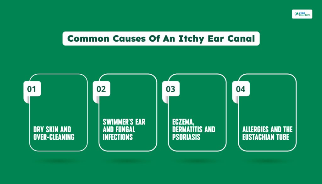 Common Causes Of An Itchy Ear Canal