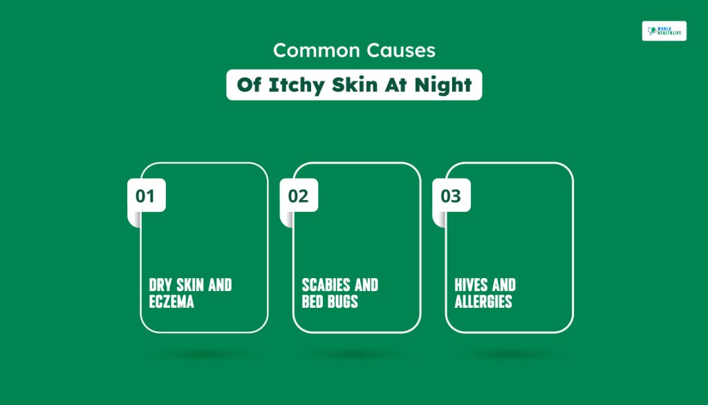 Common Causes Of Itchy Skin At Night