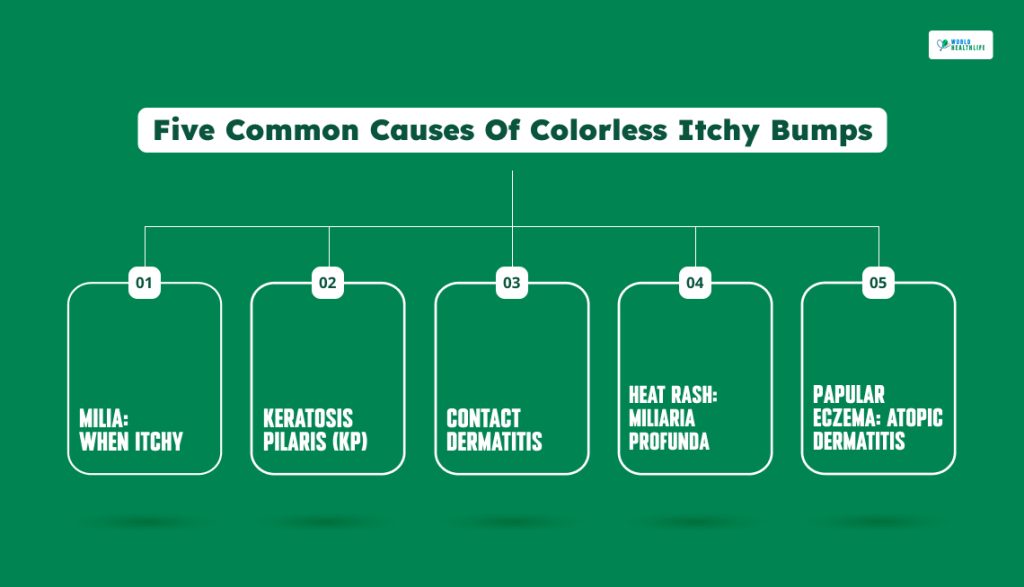Five Common Causes Of Colorless Itchy Bumps
