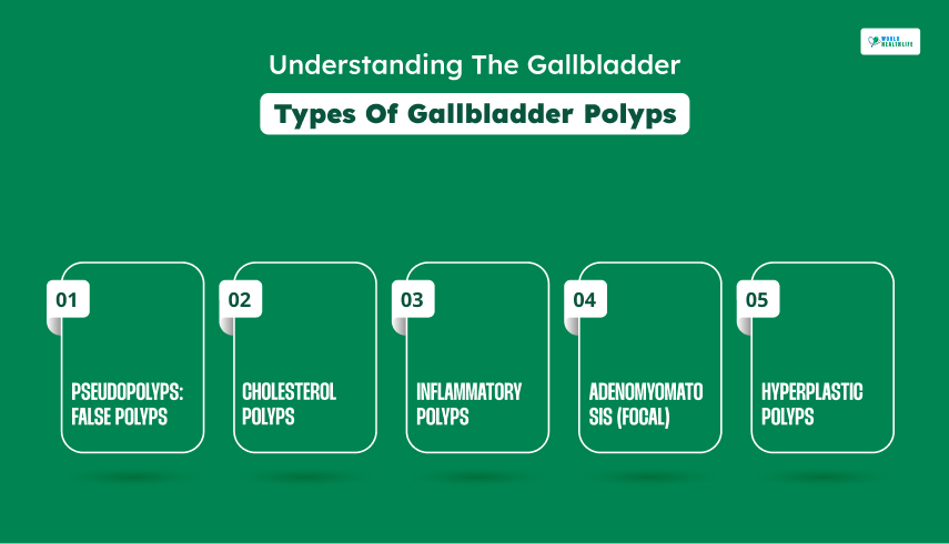 Types Of Gallbladder Polyps